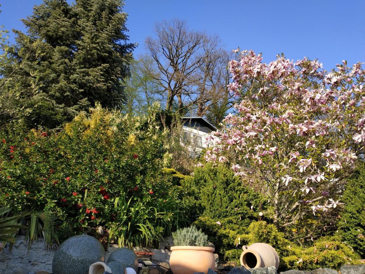 Mit Aussicht Holiday home